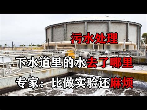 水溝水流去哪|水溝水流向突變!今日必看占卜